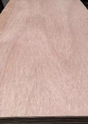 22001 22001